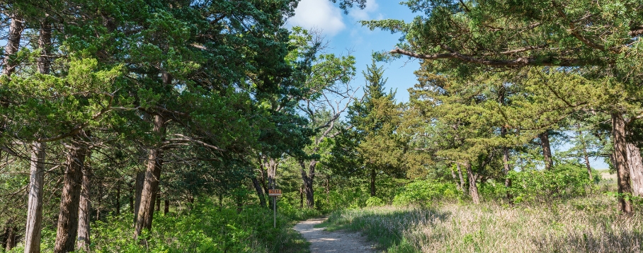 Gaz naturel et biogaz