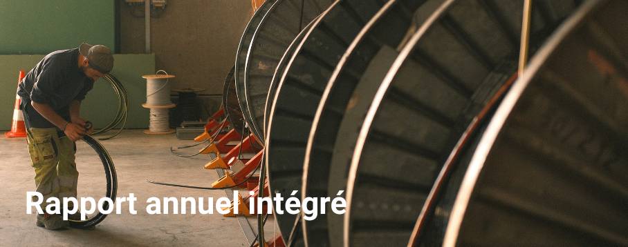 Rapporto annuale integrato 2025